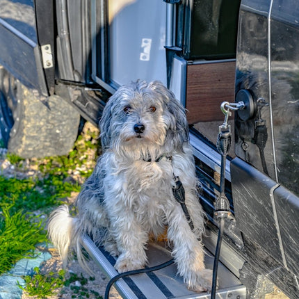 SEO. The Star | Ring | Triangle Nuts Magnetic – Offrotie Mounting System – Vanlife and Overlander Organizer - Star Linkreich