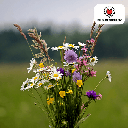 Wildblumensamen – 100g für 30–50m² – Bienen- & Schmetterlingsfreundlich – Einjährige & mehrjährige Blumen – Für Garten, Wiese, Beet – GVO-frei & nachhaltig
