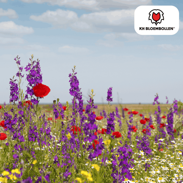 Wildblumensamen – 100g für 30–50m² – Bienen- & Schmetterlingsfreundlich – Einjährige & mehrjährige Blumen – Für Garten, Wiese, Beet – GVO-frei & nachhaltig