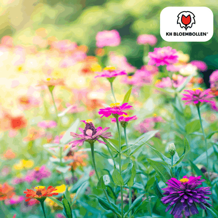 Wildblumensamen – 100g für 30–50m² – Bienen- & Schmetterlingsfreundlich – Einjährige & mehrjährige Blumen – Für Garten, Wiese, Beet – GVO-frei & nachhaltig