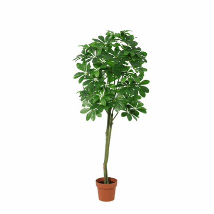Pachira Aquatica Kunstpflanze 150cm – Große künstliche Glückskastanie – Realistische Deko Pflanze für Wohnzimmer Büro & Empfangsbereich