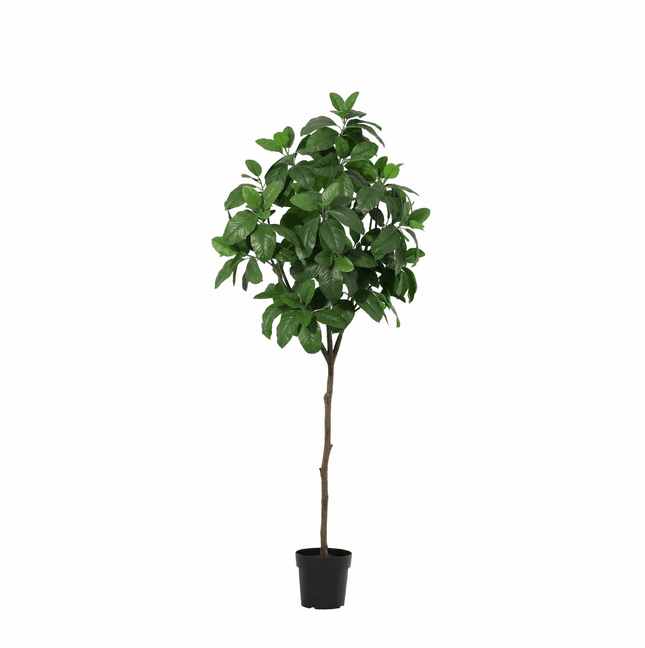 Magnolia Kunstpflanze 190cm – Große Magnolienbaum Deko Pflanze – Pflegefreie Zimmerpflanze für Wohnzimmer Büro & Empfangsbereich