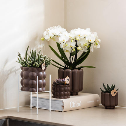 Weißer Metall – Pflanzenständer Ø12cm – Blumentopfständer aus Metall – Pflanzenhalter für Zimmerpflanzen – Stabil, stilvoll & vielseitig