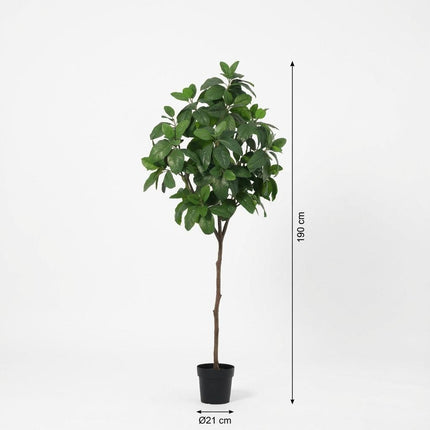 Magnolia Kunstpflanze 190cm – Große Magnolienbaum Deko Pflanze – Pflegefreie Zimmerpflanze für Wohnzimmer Büro & Empfangsbereich