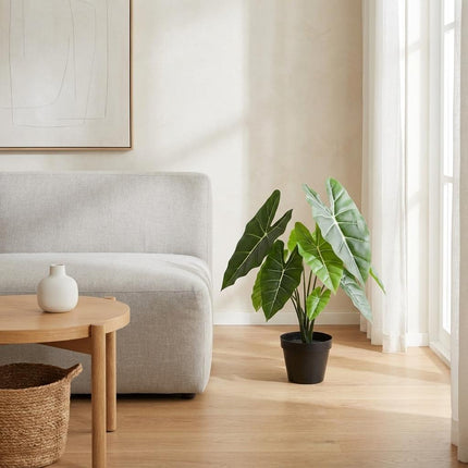 Alocasia Polly Kunstpflanze 40cm – Dekorative Elefantenohr Deko Pflanze – Pflegefreie Zimmerpflanze für Wohnzimmer Büro & Fensterbank