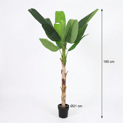 Kunstpflanze Bananenpflanze Musa190cm – künstliche Banana Plant – extra großer Kunstbaum mit realistischen XXL – Blättern – pflegeleichte Tropen