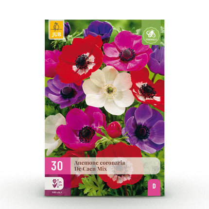 Blumenzwiebeln Anemone de Caen Mix – 30 Blumenzwiebeln – Verschiedene Farben – Frühblühende Anemonen für Beet, Balkon & Terrasse