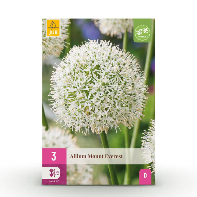 Blumenzwiebeln Allium Mount Everest – 3 Blumenzwiebeln – Weißer Zierlauch – Hohe Blütenkugeln für Beet, Balkon & Terrasse – Bienenfreundlich