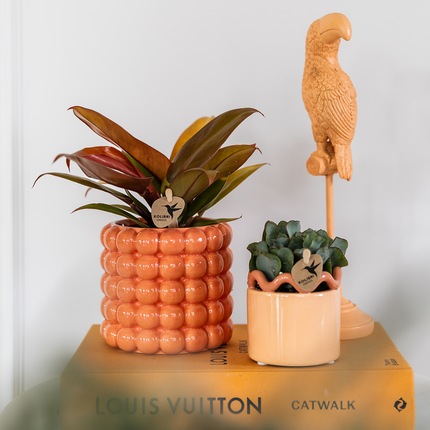 Poppy Pflanztopf – Orange – Ø9cm – Dekorativer Übertopf in Keramikoptik – Moderner Blumentopf für Zimmerpflanzen & Orchideen – Stilvolles Wohnaccessoire