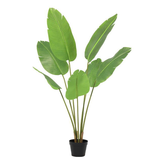 Kunstpflanze Strelitzia Nicolai 135cm – künstliche Paradiesvogelpflanze – realistische XXL – Blätter & tropische Optik – pflegeleichte Grün