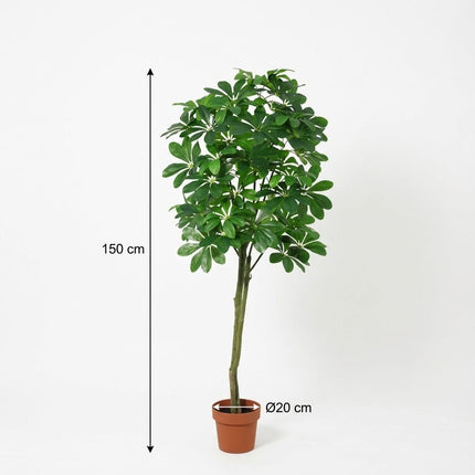 Pachira Aquatica Kunstpflanze 150cm – Große künstliche Glückskastanie – Realistische Deko Pflanze für Wohnzimmer Büro & Empfangsbereich