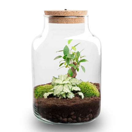 Flaschengarten DIY Bausatz – Terrarium Little Milky mit LED-Kork – Ø17cm x H25cm – Selbstversorgendes Mini-Ökosystem – Inkl. Moos, Pflanzen & Anleitung