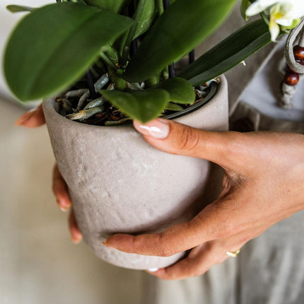 Rustic Zierpflanztopf Sand – Ø9cm – Kleiner Blumentopf in natürlichem Sandton – Organische Form im Slow Living Stil – Für Innenräume & dezente Wohnakzente