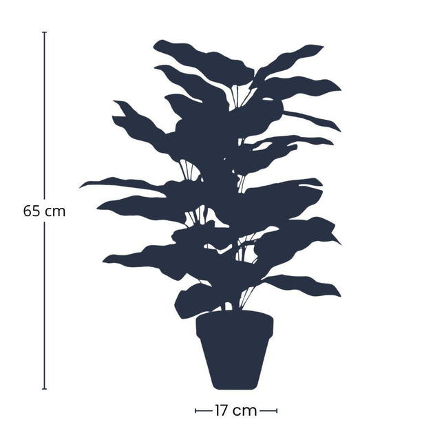 Calathea – Kunstpflanze – 65cm hoch – Ø17cm – Naturgetreue Blätter in Grüntönen – Pflegefrei – Für Wohnzimmer, Büro & Flur