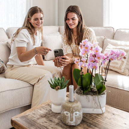 Diabolo Twin Ziertopf Weiß – Ovaler Übertopf mit Rillenstruktur – Platz für 2 Pflanzen Ø9cm – Moderner Blumentopf für Orchideen & Zimmerpflanzen