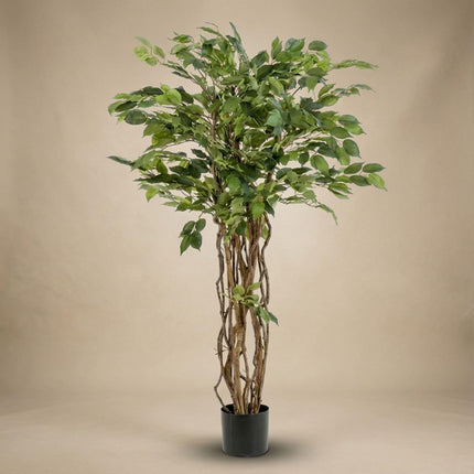 Ficus Liana Kunstbaum – 140cm – künstliche Pflanze mit realistischer Blattstruktur – Pflegefreier Deko Baum für Wohnzimmer Büro & Empfangsbereich