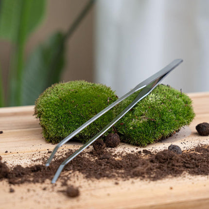 Terrarienpinzette – Edelstahl – 26cm – Lange Greifpinzette für Terrarium & Flaschengarten