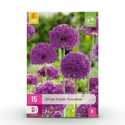 Blumenzwiebeln Allium Purple Sensation – 15 Blumenzwiebeln – Lila Blütenkugeln – Zierlauch für Beet, Balkon & Terrasse – Sommerblüher & Bienenfreund
