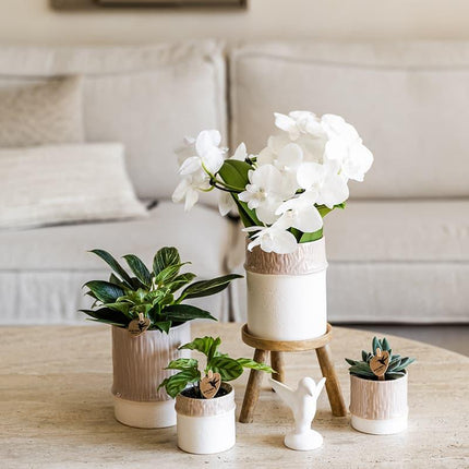 Bamboo Übertopf Sand – Mini Blumentopf Ø6cm – Naturfarbener Pflanztopf mit Bambusstruktur – Kleiner Übertopf für Orchideen Sukkulenten & Deko