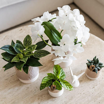 Bamboo Übertopf Sand – Mini Blumentopf Ø6cm – Naturfarbener Pflanztopf mit Bambusstruktur – Kleiner Übertopf für Orchideen Sukkulenten & Deko