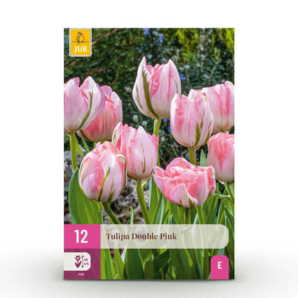Blumenzwiebeln Tulpe Double Pink – 12 Stück – Rosa gefüllte Tulpen – Zwiebelgröße 11/12 – Für Beet, Balkon & Terrasse – Pflegeleicht & edel