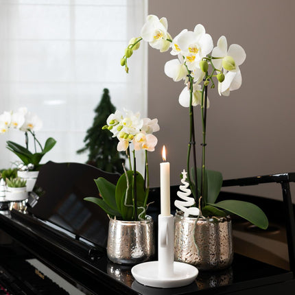 Luxuriöser Blumentopf – Silberner Keramiktopf Ø6cm – Eleganter Ziertopf für kleine Pflanzen – Hochglanz – Dekoration für Wohnraum & Büro