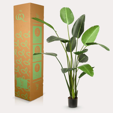 Kunstpflanze Strelitzia Nicolai – Paradiesvogelblume – ca. 230cm hoch – Realistische XXL Zimmerpflanze mit großen Seidenblättern – Dekopflanze für Wohnzimmer, Büro & Empfangsbereiche