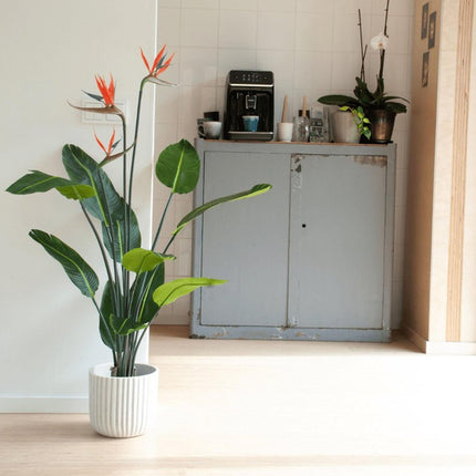 Strelitzia mit Blüten – 120cm – Kunstpflanze im schwarzen Topf – tropischer Blickfang – hochwertige Dekopflanze für Wohnzimmer, Büro & Flur – pflegeleicht