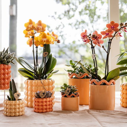 Poppy Pflanztopf – Orange – Ø6cm – Dekorativer Mini-Übertopf in Keramikoptik – Moderner Blumentopf für kleine Zimmerpflanzen & Sukkulenten