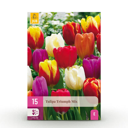 Blumenzwiebeln Tulipa Triumph Mix – Verschiedene Farben – 15 Stück – Zwiebelgröße 11/12 – Bunte Triumph-Tulpen für Garten, Balkon & Terrasse – Frühjahrsblüher