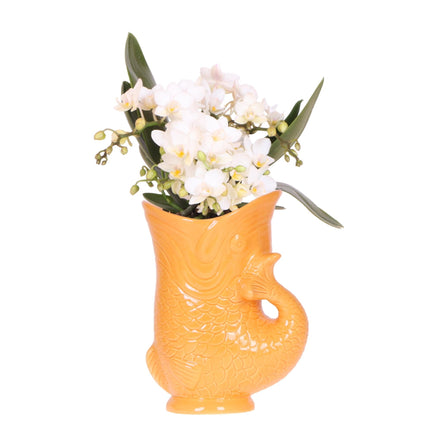 Weiße Orchidee Nazaré – Ø9 cm – Zimmerpflanze im sommerlichen Fischtopf Orange – Elegante Blüten für Wohnzimmer & Esstisch
