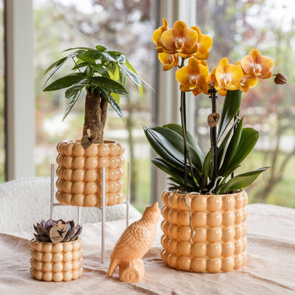 Weißer Metall – Pflanzenständer Ø12cm – Blumentopfständer aus Metall – Pflanzenhalter für Zimmerpflanzen – Stabil, stilvoll & vielseitig