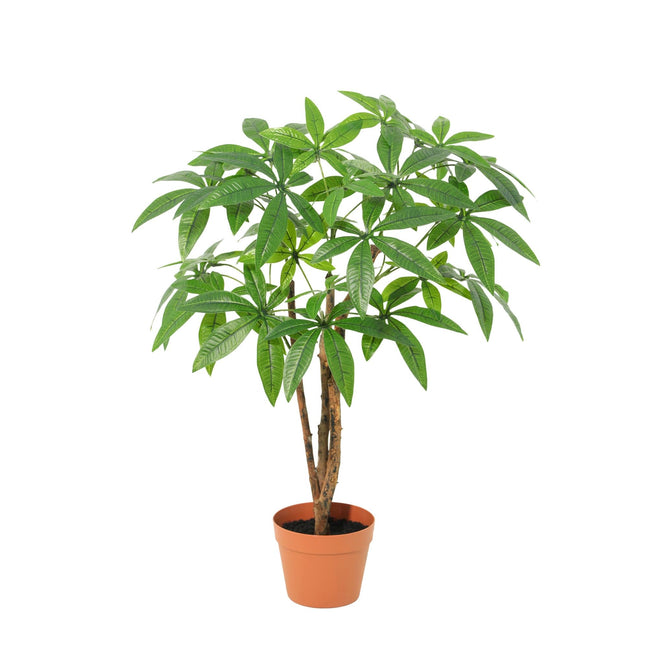Kunstpflanze Pachira Aquatica 86cm – künstlicher Glückskastanien – Baum im Topf