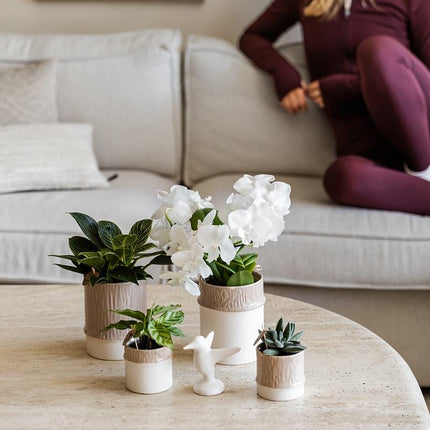 Bamboo Übertopf Sand – Blumentopf Ø9cm – Naturfarbener Pflanztopf mit Bambusstruktur – Moderner Übertopf für Orchideen Zimmerpflanzen & Deko