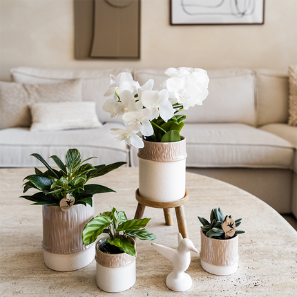 Übertopf Tree sand Ø9cm – Blumentopf mit dezentem Relief – neutraler Keramik – Übertopf für kleine Zimmerpflanzen, Orchideen & Sukkulenten