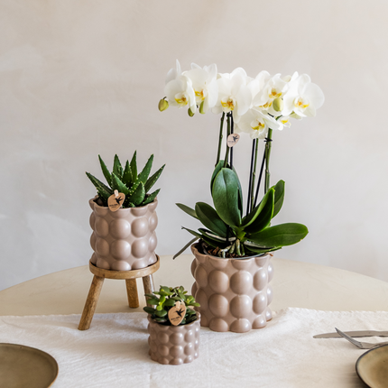 Topf Baumwolle – Sand – Ø9cm – Moderner Übertopf mit organischer Rillenstruktur – Dekorativer Keramik-Blumentopf für Orchideen & Zimmerpflanzen – Minimalistisches Designot - Sand - Ø9cm