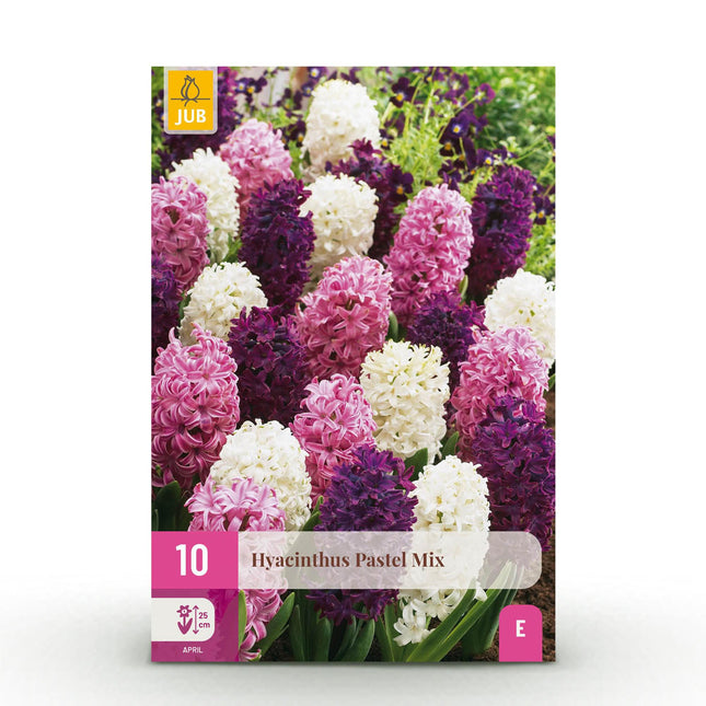 Blumenzwiebeln Hyacinth Pastel Mix – 10 Blumenzwiebeln – Duftende Hyazinthen in Pastellfarben – Für Beet, Balkon & Terrasse