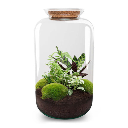 Flaschengarten Botanical Sven XL – DIY Bausatz Terrarium – ↕43cm – Do – It – Yourself Pflanzen – Set mit Korkdeckel – Autarkes Ökosystem