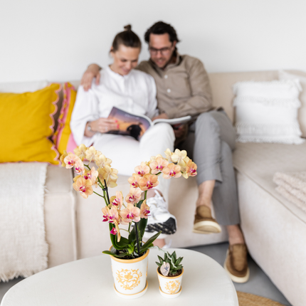 Topf Malaga Light Orange – Ø9cm – Dekorativer Keramik-Übertopf mit sommerlichem Design – Handgemacht wirkender Look – Robust & langlebig – Perfekt für Zimmerpflanzen