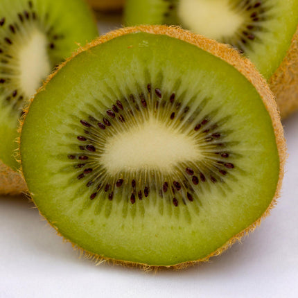 Kiwi Pflanze Actinidia deliciosa 'Jenny' – 2er – Set – Obstpflanze 15cm – ca. 50cm hoch – Selbstfruchtend – Für Garten & Balkon