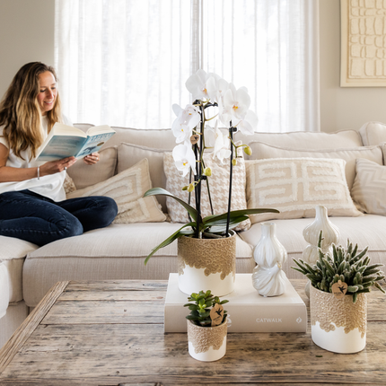 Geschenkset Bloom Sand – Weiße Lausanne Orchidee Ø9cm + Grünpflanze Ø6cm – Übertöpfe in Sandoptik mit Blütenrelief + weißes ovales Tablett