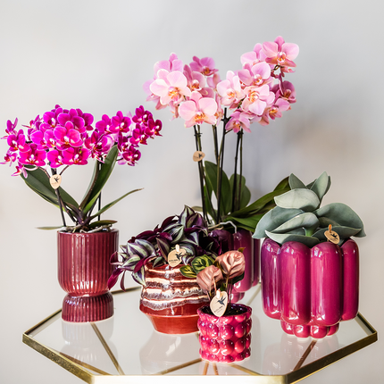 Diabolo Ziertopf Ø9cm – Blumentopf in Burgundy – Moderner Keramik-Übertopf mit Rillenstruktur & glänzender Oberfläche – Dekorativer Pflanztopf für Orchideen & Zimmerpflanzen