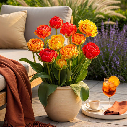 Blumenzwiebeln Tulipa Gudoshnik Double – Doppelblütig – 12 Stück – Zwiebelgröße 11/12 – Gefüllte Tulpen für Garten, Balkon & Terrasse – Frühjahrsblüher