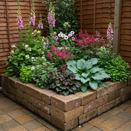 Staudenset – Schatten – 8 schattenverträgliche Stauden – Für 1 m² Beet – Verschiedene Farben – Pflegeleicht – Ideal für halbschattige & schattige Bereiche – Ø11 cm