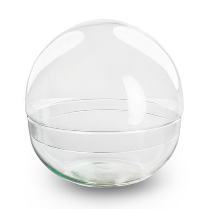 Terrarium – Glaskuppel Dome – zweiteilig – Ø20cm ↕20cm – Runde Glasflasche aus Recyclingglas – Ideal für DIY – Pflanzenterrarien & Mini – Ökosysteme