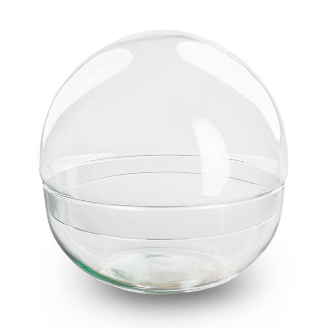 Terrarium – Glaskuppel Dome – zweiteilig – Ø20cm ↕20cm – Runde Glasflasche aus Recyclingglas – Ideal für DIY – Pflanzenterrarien & Mini – Ökosysteme