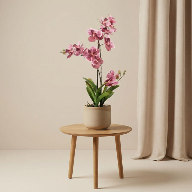 Orchidee Vanda Kunstpflanze – ca.60cm – Altrosa – Künstliche Orchidee im Topf – Pflegefreie Deko Pflanze für Wohnzimmer Büro & Empfangsbereich