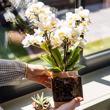 Classy Cube Ziertopf Ø9cm – Quadratischer Keramik-Blumentopf in Braun – Glänzende Oberfläche für Orchideen & Zimmerpflanzen – Moderner Übertopf mit Retro-Charme