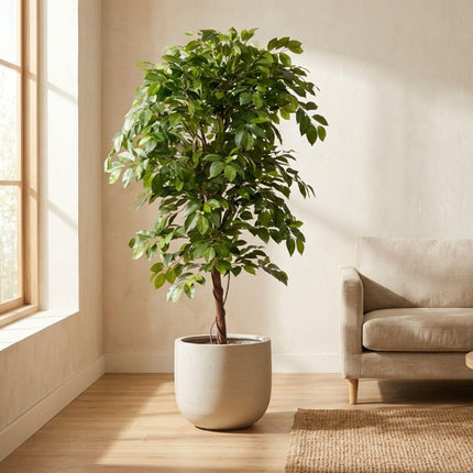Ficus Deluxe Vine Kunstbaum – 140cm – Realistische Kunstpflanze für Innenräume – Pflegefreier künstlicher Baum mit dichtem Blattwerk