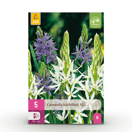 Blumenzwiebeln Camassia Leichtlinii Mix – 5 Stück – Lila & weiße Sternhyazinthen – Für Beet, Balkon & Terrasse – Pflegeleicht